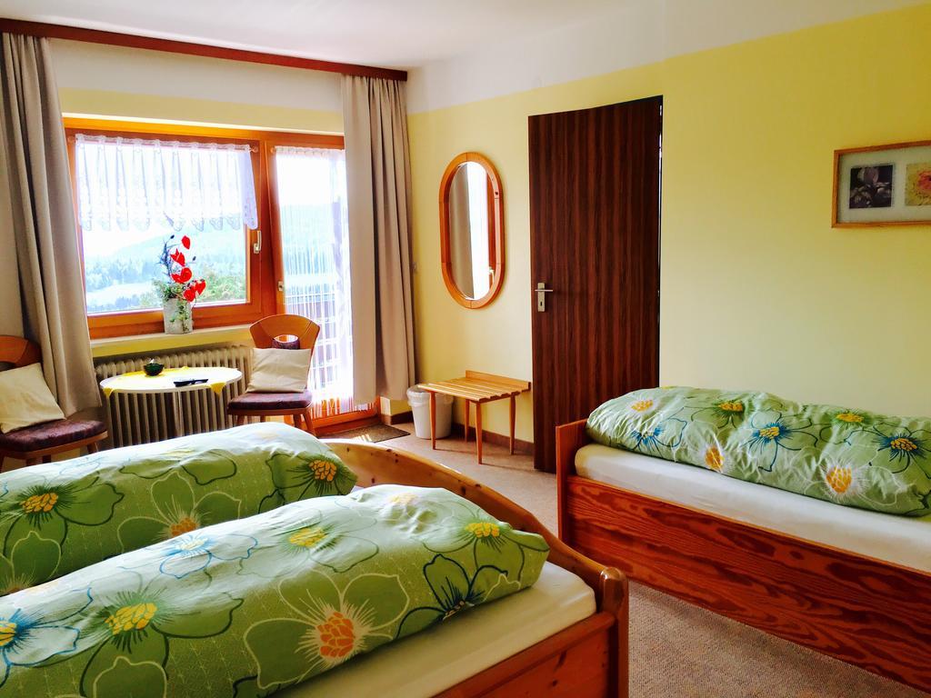 Pension Klein Und Ferienwohnungen (Adults Only) Bodenmais Exterior foto