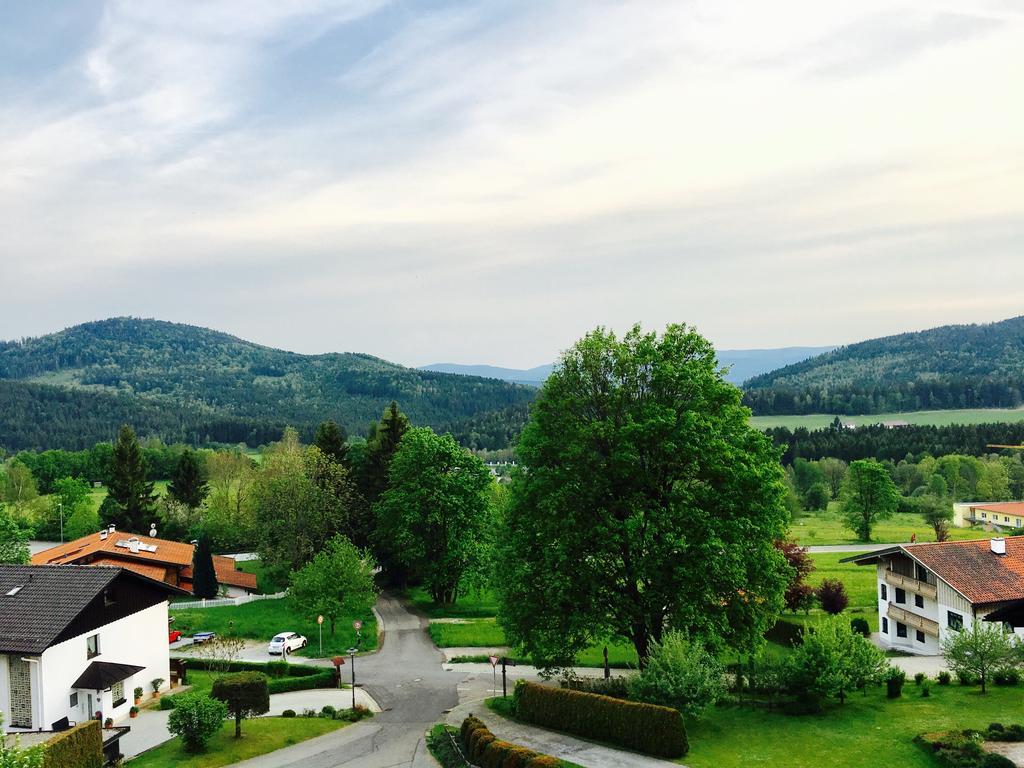 Pension Klein Und Ferienwohnungen (Adults Only) Bodenmais Exterior foto